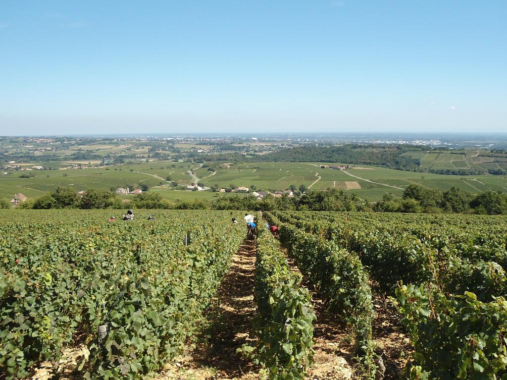 Le Haut De Collonge Villa Saint-Boil Esterno foto